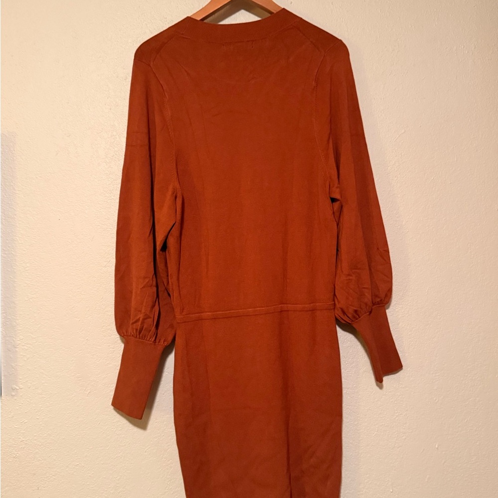 Banana Republic Rust Long Sleeve Dress